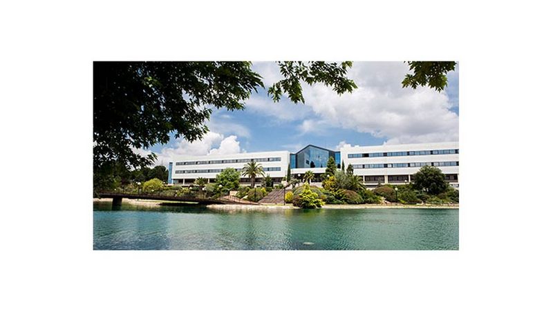 Problemas de gestión y costes 